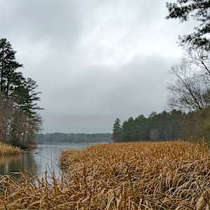 Red Oak Campground