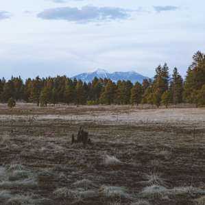 San Francisco Peaks seen from our bike ride
