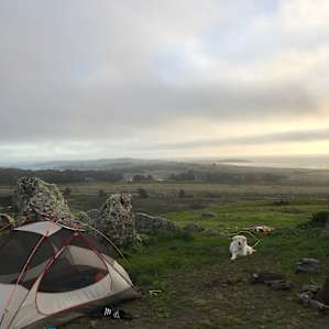 Gonzo The Dog, chilling at Shelter Rock Camp.