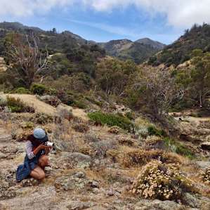 Taking some photographs ... this was actually on the Del Norte campground side of the island.