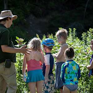 Birding program for kids