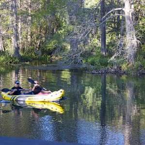 These were taken at swampy's, which is a nearby restaurant. This would be a great activity to do during the day!