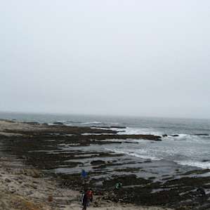 Islay Creek Campground