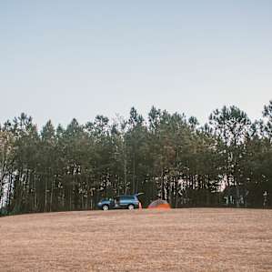 Set up shop in the hill on the South side of the property.