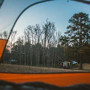 Campvibes looking out over the wooded area and bathrooms, high class bathrooms.