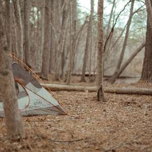 The pond at the base of the trail. This can be seen from the entrance of the camp, and is the most optimal spot to pitch a tent and relax.