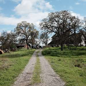 The driveway to the farm.