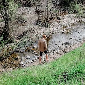 The campsite sits right beside a beautiful creek that's full from all of the rain we've had.