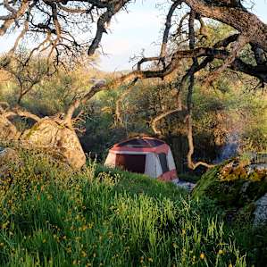 Looking down at the campsite from a nearby hill. Oak trees shade the outdoor kitchen.
