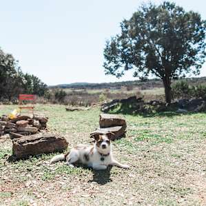 Dos Rios is super pet (off-leash) friendly.. which was a huge benefit to us!