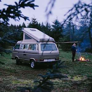 Camping at the Arboretum offers the true Northwest Experience: foggy mountains, lush greenery, evergreens, and wildlife.