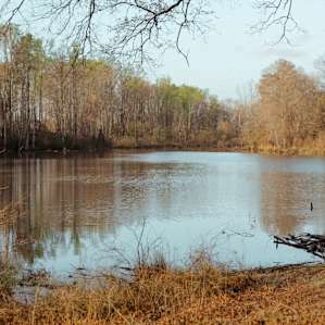 The pond site. A beautiful and secluded patch of flat land next to a quiet pond.
