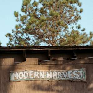 Modern Harvest Farms