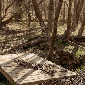A bridge marking the trail along the creek.