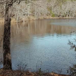 A great vantage point of the lake from the lake site.