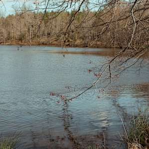 The docking area for canoes/kayaks.