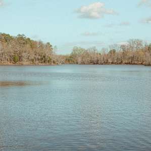 A wide range of great imagery to take in while staying along the lakeside.