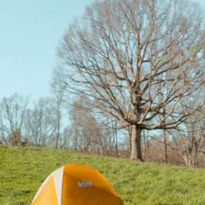 A great spot to set up camp is near the top of the main hill. This area has the best view of the property.
