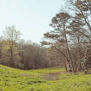 A vast amount of greenery and trees are spread across the hills on this property.