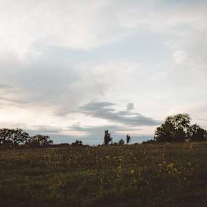 sunset on the property