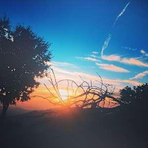 Sunsets that blow your mind.