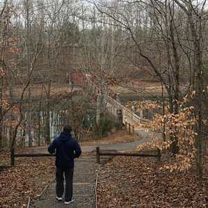 Tims Ford Campground