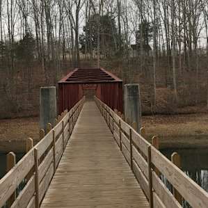 Tims Ford Campground