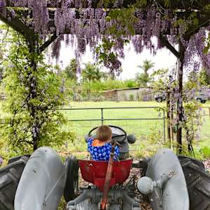 Working Tractor.