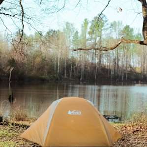 Tent perched in front of the pond site.