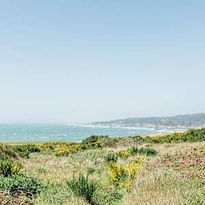 There are tons of coastal walking trails just one mile from the property!