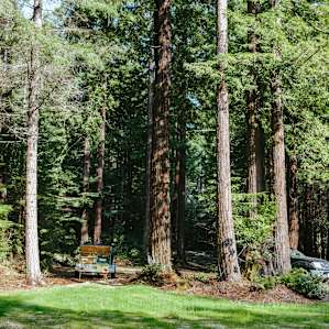 If you're bring a trailer, you can park right in the grove next to camp!