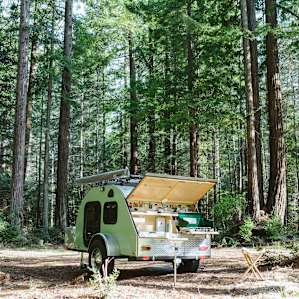 Doesn't get much better than camping in a grove of redwood trees