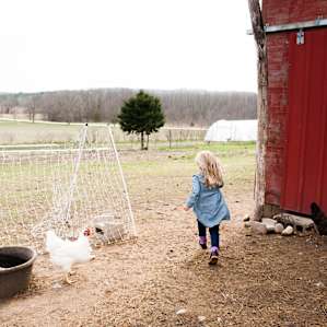 Resident kiddo on the farm.