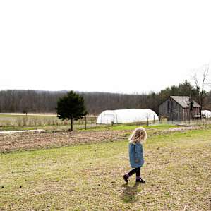 Resident kiddo on the farm.