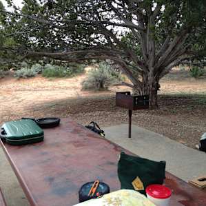 Coral Pink Sand Dunes Campground