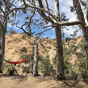 Cottonwood Campground