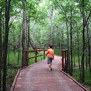 Loved the various boardwalks, makes for a fun hike with kiddos.