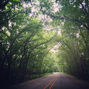 The road just outside the park, already a great indication of what is found inside.
