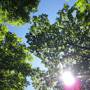 beautiful nature all around!