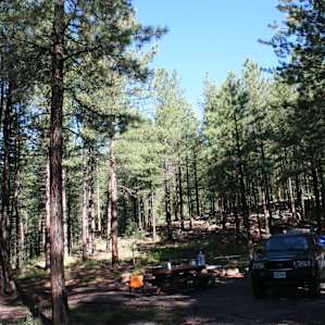 We loved being in the trees-it helped with rigging a tarp over our tent too. Major thunderstorms during the night!