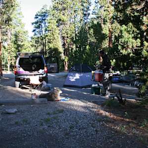 Campsite near the road-load and bright at night. Not our favorite.