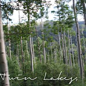 Twin Lakes aspens