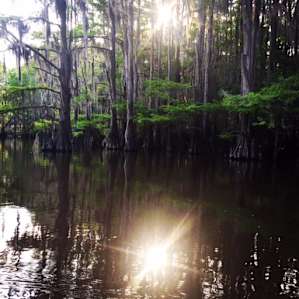 Mill Pond at sunset.