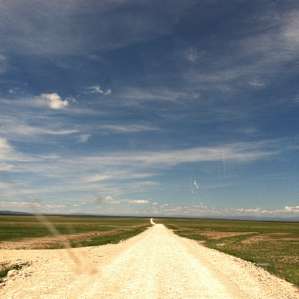 Driving into the grassland