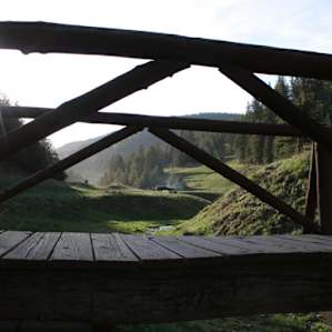 Water, bridge, green, green grass...