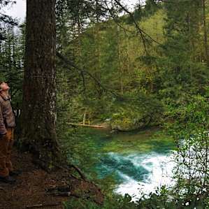 We'll be dreaming of our stay at Naked Falls until the next time. Happy camping!