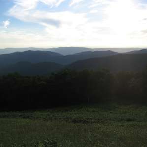 the view