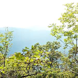 truly a lovely view from our site