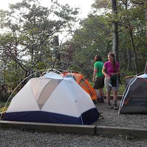 big tent pads, easy bear boxes