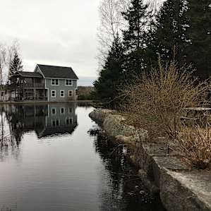 Dog friendly campground (pond included!)